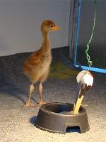 Blue Yellow Blue on 9th May 2012 Blue Yellow Blue on 9th May 2012